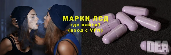 ГАЛЛЮЦИНОГЕННЫЕ ГРИБЫ Корсаков