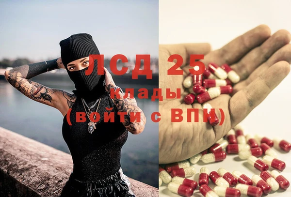 ГАЛЛЮЦИНОГЕННЫЕ ГРИБЫ Корсаков