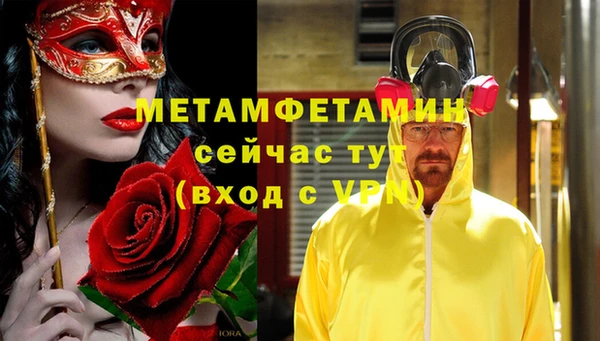 ГАЛЛЮЦИНОГЕННЫЕ ГРИБЫ Корсаков