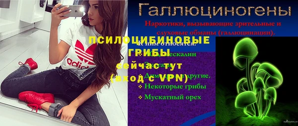 ГАЛЛЮЦИНОГЕННЫЕ ГРИБЫ Корсаков