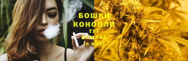 мяу мяу мука Коряжма